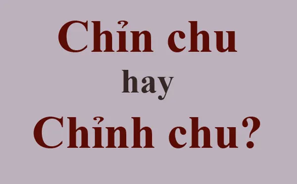 chỉn chu hay chỉnh chu