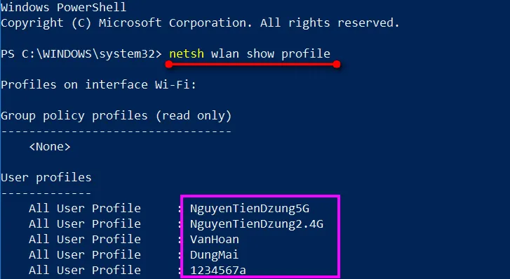 Nhập lệnh netsh wlan show profile