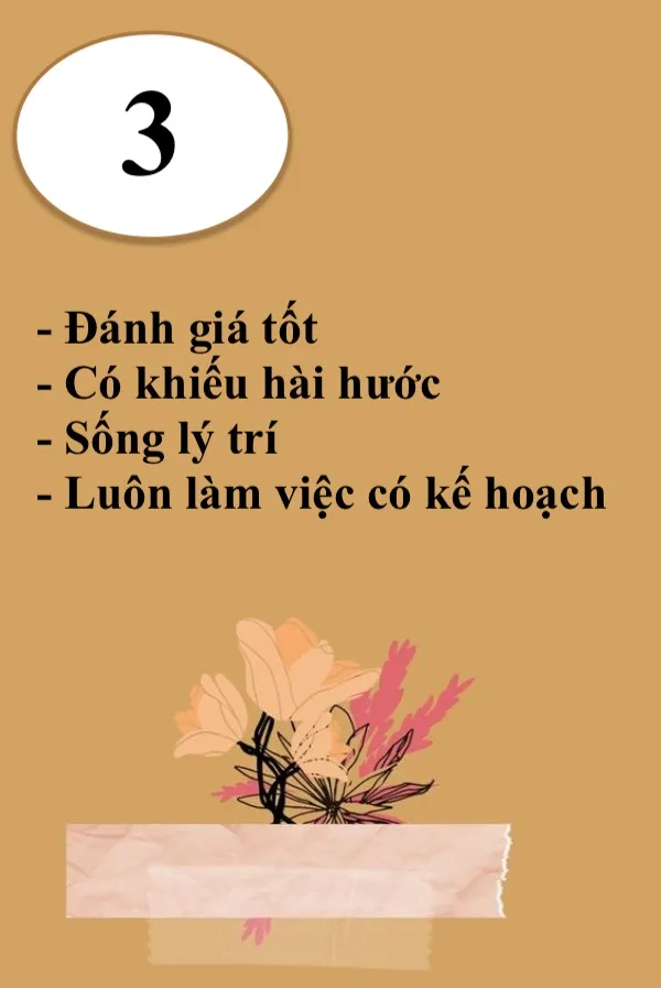 thần số học là gì